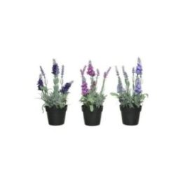 MACETA DE LAVANDA, Ø12 x 25 cm, COLORES SURTIDOS | HogarLider