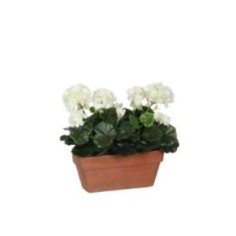JARDINERA DE GERANIO BLANCO, 29 x 13 x 40 cm | HogarLider