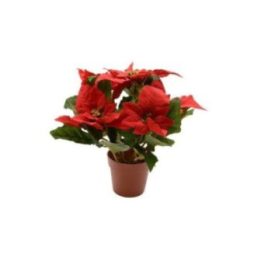 PLANTA ARTIFICIAL FLOR DE PASCUA, Ø27x27cm, | HogarLider