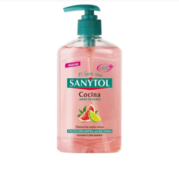 Sanytol Jabón De Manos Cocina 250ml | HogarLider