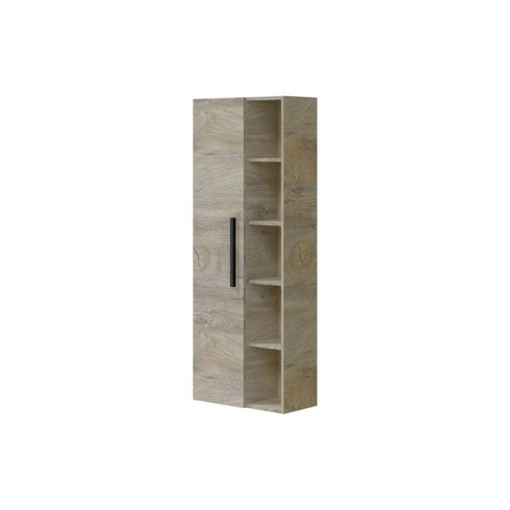COLUMNA COLGAR 51 1PUERTA + ESTANTES | HogarLider