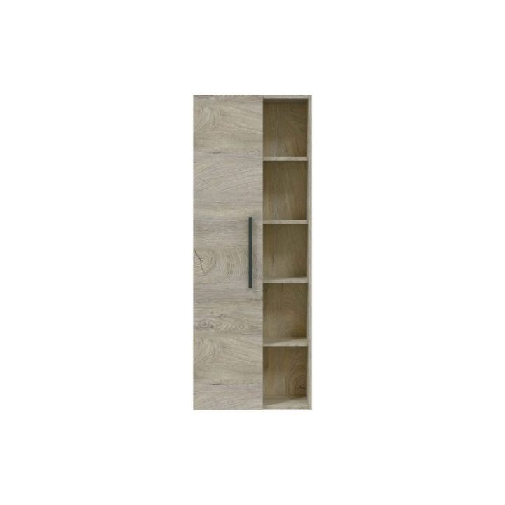 COLUMNA COLGAR 51 1PUERTA + ESTANTES | HogarLider