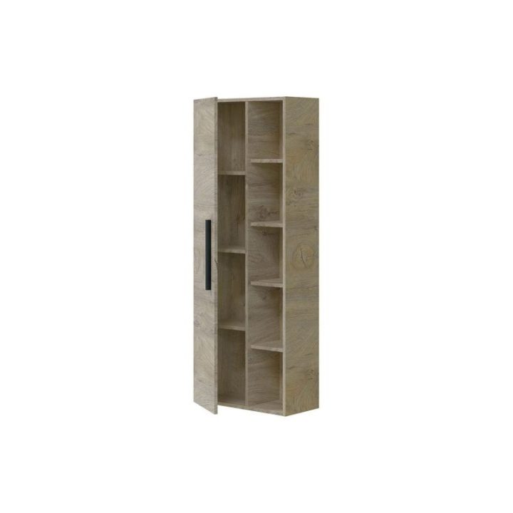 COLUMNA COLGAR 51 1PUERTA + ESTANTES | HogarLider