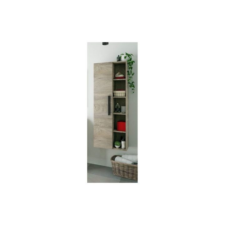 COLUMNA COLGAR 51 1PUERTA + ESTANTES | HogarLider