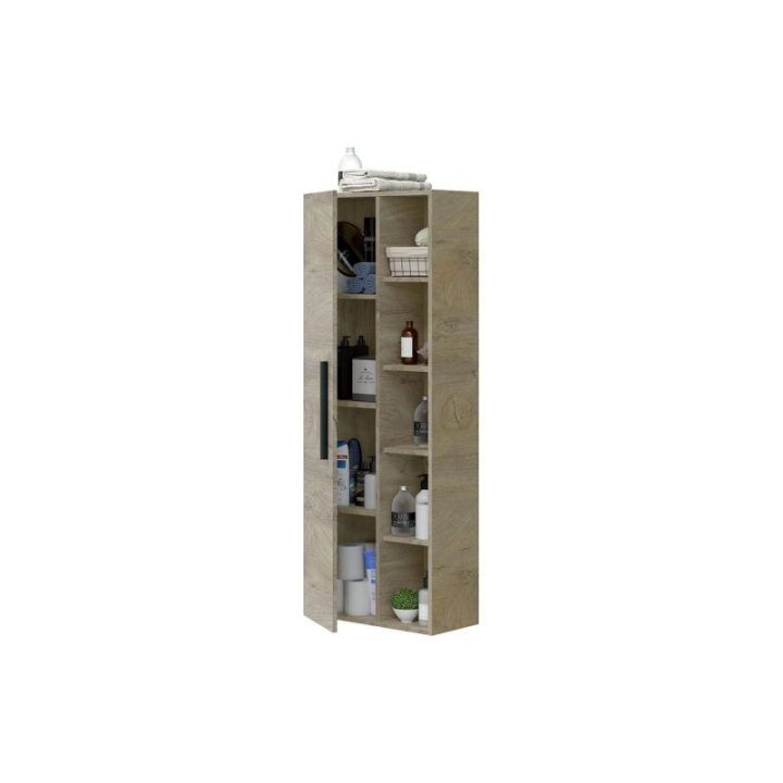 COLUMNA COLGAR 51 1PUERTA + ESTANTES | HogarLider
