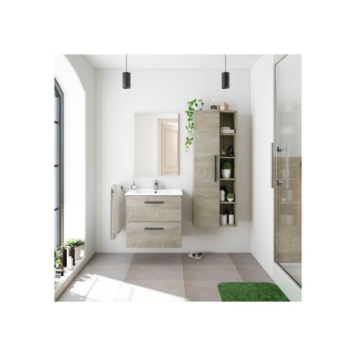 COLUMNA COLGAR 51 1PUERTA + ESTANTES | HogarLider