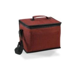 NEVERA TIPO BOLSA 10 l DISEÑO… · EL3-73186 | HogarLider