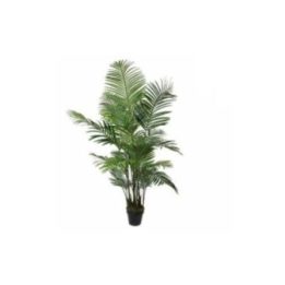 MACETA DE PALMERA ARECA, Ø80 x 160 cm | HogarLider