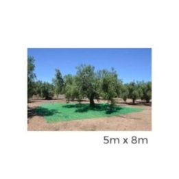 MANTO PARA RECOLECTA DE FRUTOS 5x8m COLOR VERDE | HogarLider