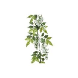 RAMA DE WISTERIA / GLICINA 150 cm | HogarLider