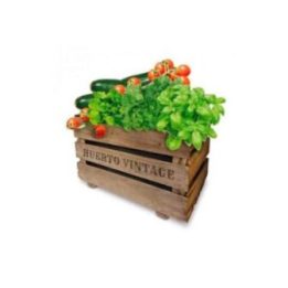 CAJA HUERTO VINTAGE ECO 50 x 35 x 30 cm | HogarLider