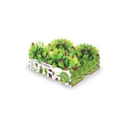 CAJA DE ENSALADAS BABY LEAVES 40 x 29 x 10,5 cm | HogarLider