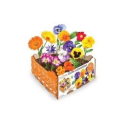 CAJA DE FLORES COMESTIBLES 19 x 19 x 10 cm | HogarLider