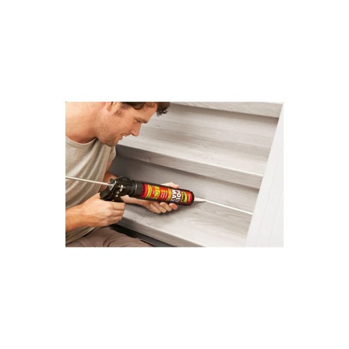 POLY MAX® EXPRESS BLANCO 425 g | HogarLider