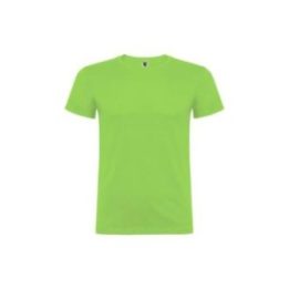 CAMISETA BEAGLE VERDE OASIS T.L | HogarLider