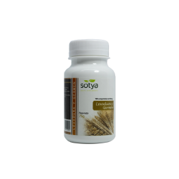 Sotya Levadura Germen 125 Comp | HogarLider