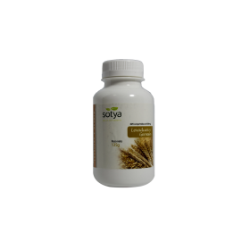 Sotya Levadura Germen 225 Comp | HogarLider