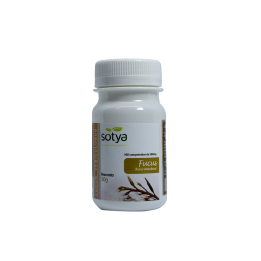 Sotya Fucus 100 Comp | HogarLider