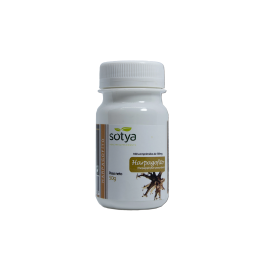 Sotya Harpagofito 100 Comp | HogarLider