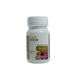 Sotya Equinacea 100 Comp | HogarLider
