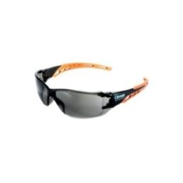 GAFAS DE PROTECCIÓN REF. 630 | HogarLider
