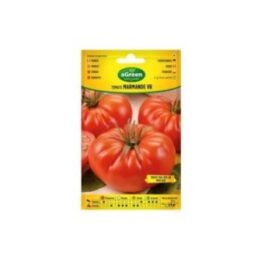 SOBRE CON SEMILLAS DE TOMATE MARMANDE VR HOLANDA | HogarLider