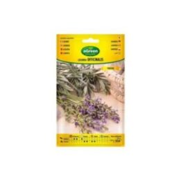 SOBRE CON SEMILLAS DE LAVANDA OFFICINALIS | HogarLider