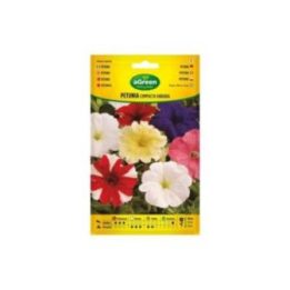 SOBRE CON SEMILLAS DE PETUNIA COMPACTA VARIADA | HogarLider