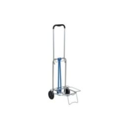 CARRO PLEGABLE DE ACERO CON CARGA MÁXIMA 40 kg | HogarLider