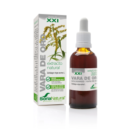 Soria Extracto Vara Oro S Xxi 50ml | HogarLider