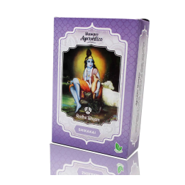 Radhe Shikakai Shampoo Ayurvedico | HogarLider