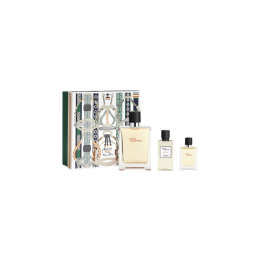 Hermès Hermes Terre Edt Spray 100ml Sets | HogarLider