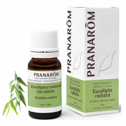 Pranarom Aceite Esencial Eucalipto Radiata 10ml | HogarLider