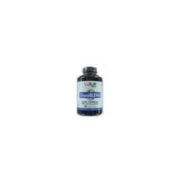 V.byotic Glucoblend Flex Formula 90 Caps | HogarLider