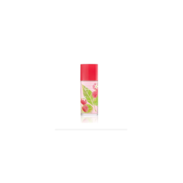 Elizabeth Arden Green Tea Lychee Lime et 100 Vap | HogarLider