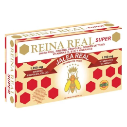 Robis Reina Real Super 20 Amp | HogarLider