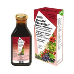 Salus Floradix Floravital 250ml | HogarLider