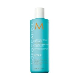 Moroccanoil Repair Moisture Repair Champú 250ml | HogarLider