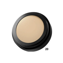 Paese Cover Kamouflage Cream 20 | HogarLider