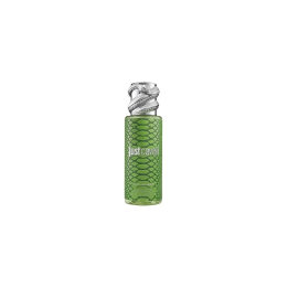 Roberto Cavalli Rc Just Cavalli Mist Green 250ml | HogarLider