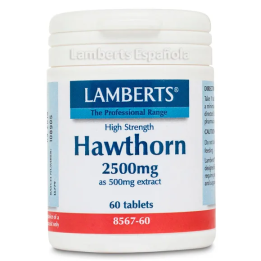 Lamberts Espino Blanco 2500 Mg 60 Tabs | HogarLider