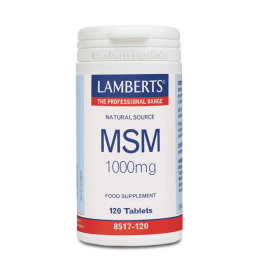 Lamberts Msm 1000 Mg 120 Tabs | HogarLider