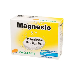 Vallesol Magnesio B Efervescente 24comp | HogarLider
