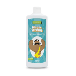 Valquer Champú Jengibre Ginger Strong 1000ml | HogarLider