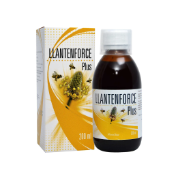 Montstar Llanten Force Plus 200ml | HogarLider