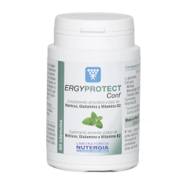 Nutergia Ergyprotect Conf 60 Caps | HogarLider