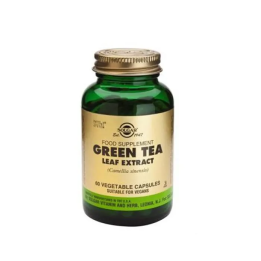 Solgar Spf Té Verde-Hoja 60 Cápsulas | HogarLider