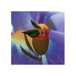 Loewe Solo Elixir 50 Vap M | HogarLider