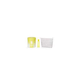 Tous Kids Bear et 100 Vap Nec Cof25 | HogarLider