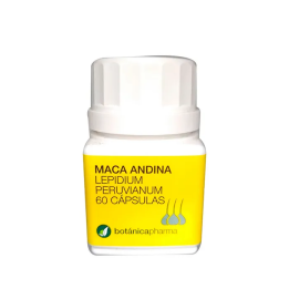 Botánicapharma Maca Andina 500mg 60 Cápsulas | HogarLider